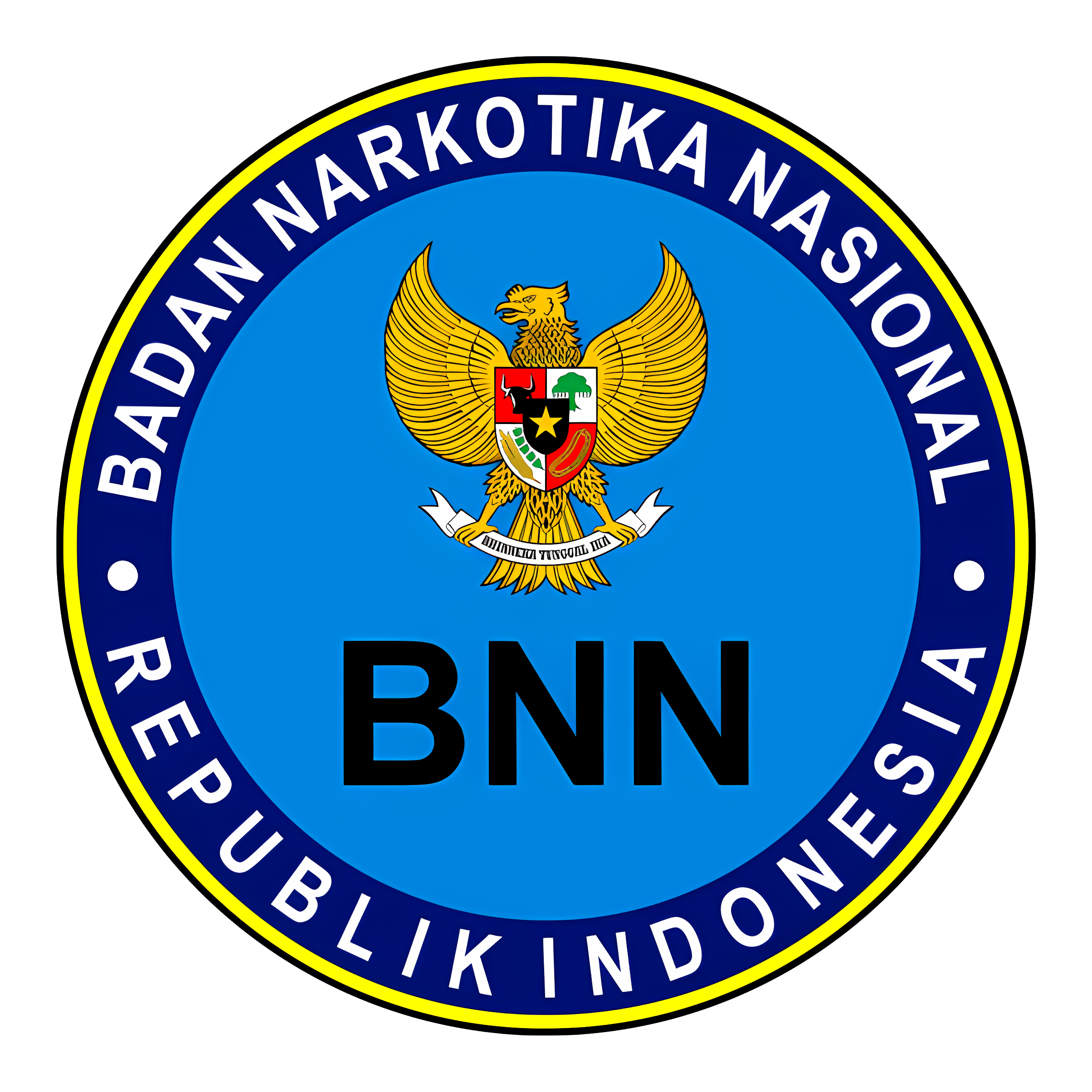 BNN LOGO